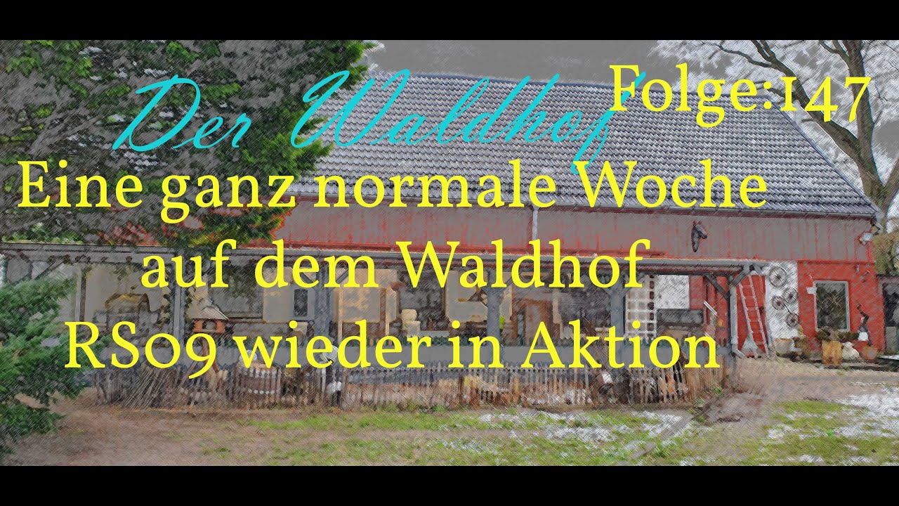 DerWaldhof Eine ganz normale Woche auf dem Waldhof, R09 wieder im Einsatz