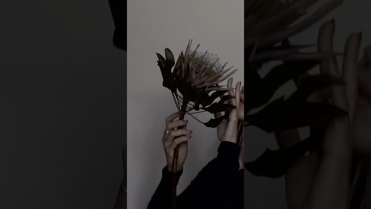 👁️ #aestheticlife #aesthetic #aestheticvideo