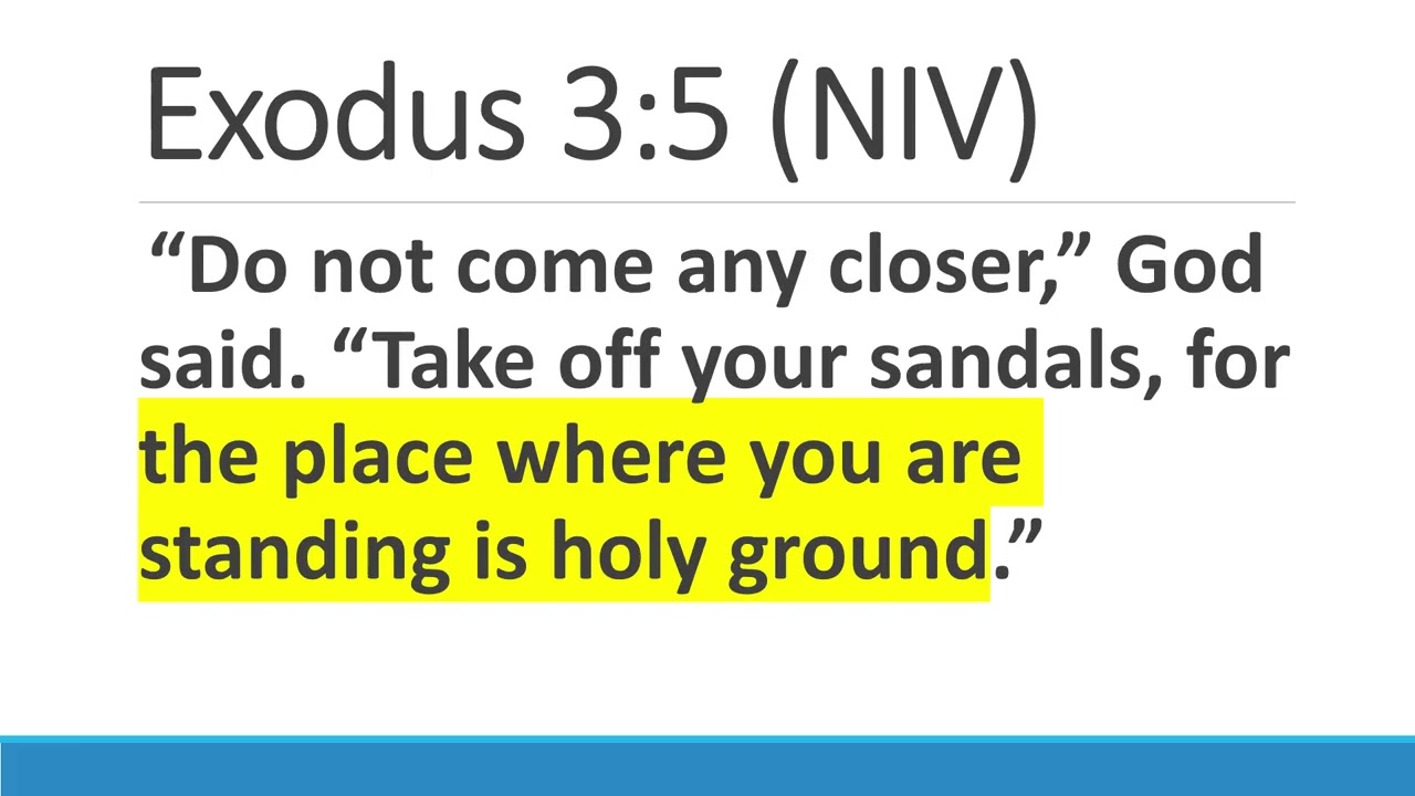 A Call to Holiness in Leviticus