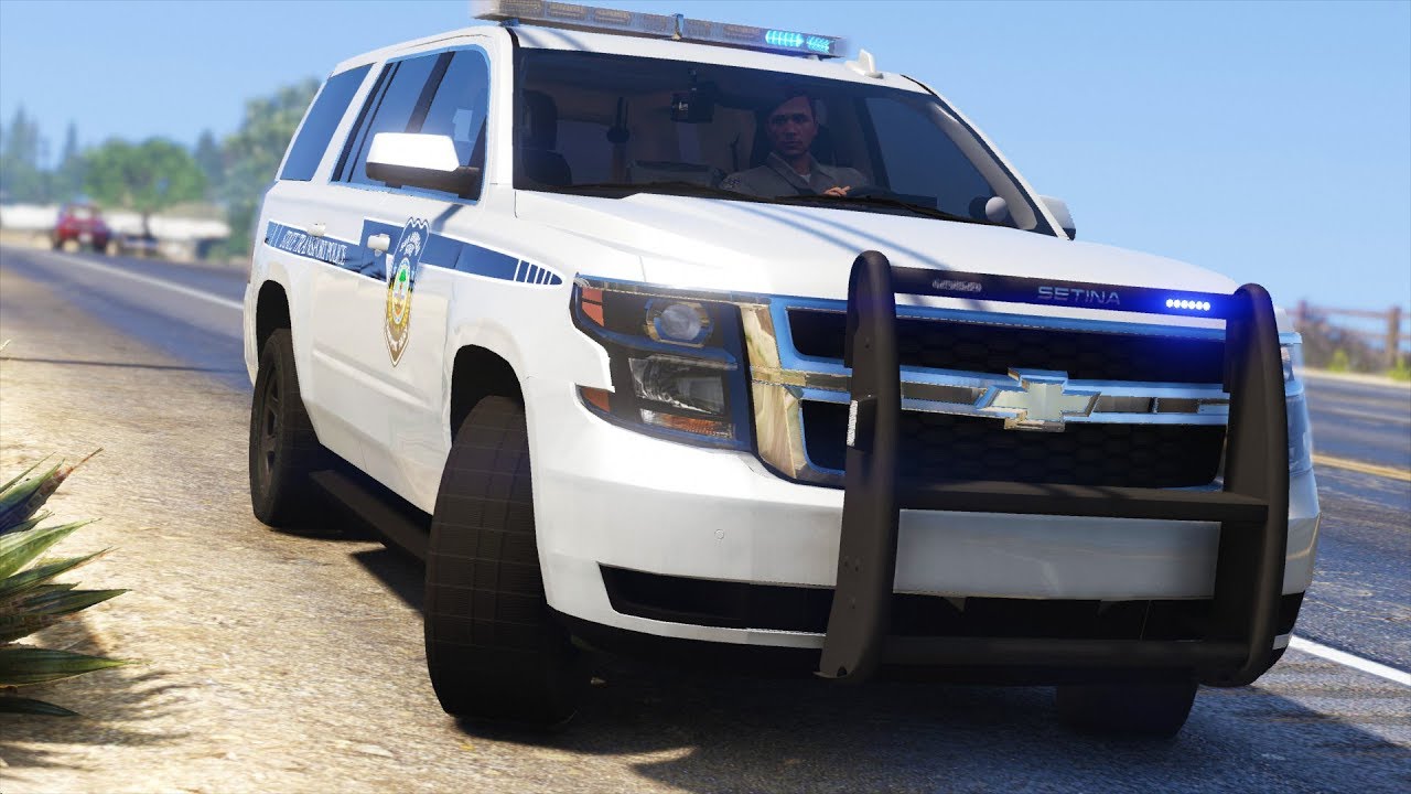 LSPDFR - Day 898 - South Carolina State Transport Police
