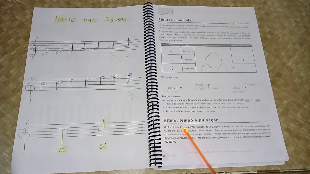ESTUDOS ÓRGÃO-  página 18