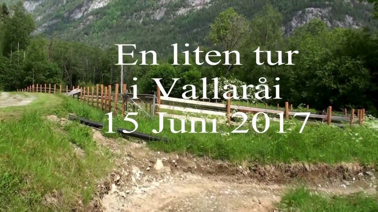 Vallaråi Seljord
