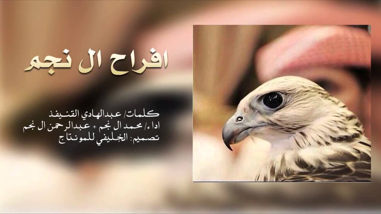 شيلة / أفراح ال نجم / اداء / محمد ال نجم و عبد الرحمن ال نجم /  طرب × طرب × طرب