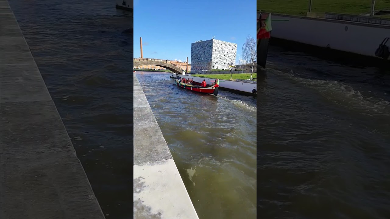 Os Moliceiros de Aveiro #portugal #pelomundo