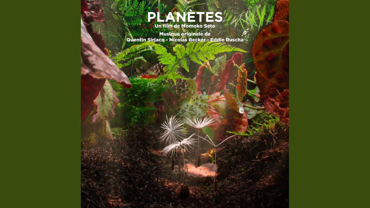 Poursuite infernale des têtards volants