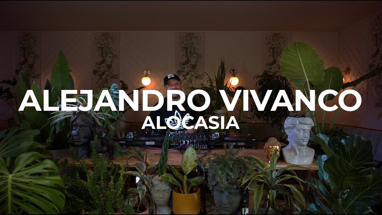 Minimal beats with plants by Alejandro Vivanco at Casa Sanz - Alocasia TV Santiago