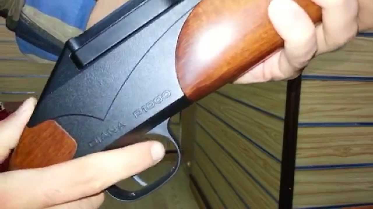 نظرة سريعة على DIANA P1000