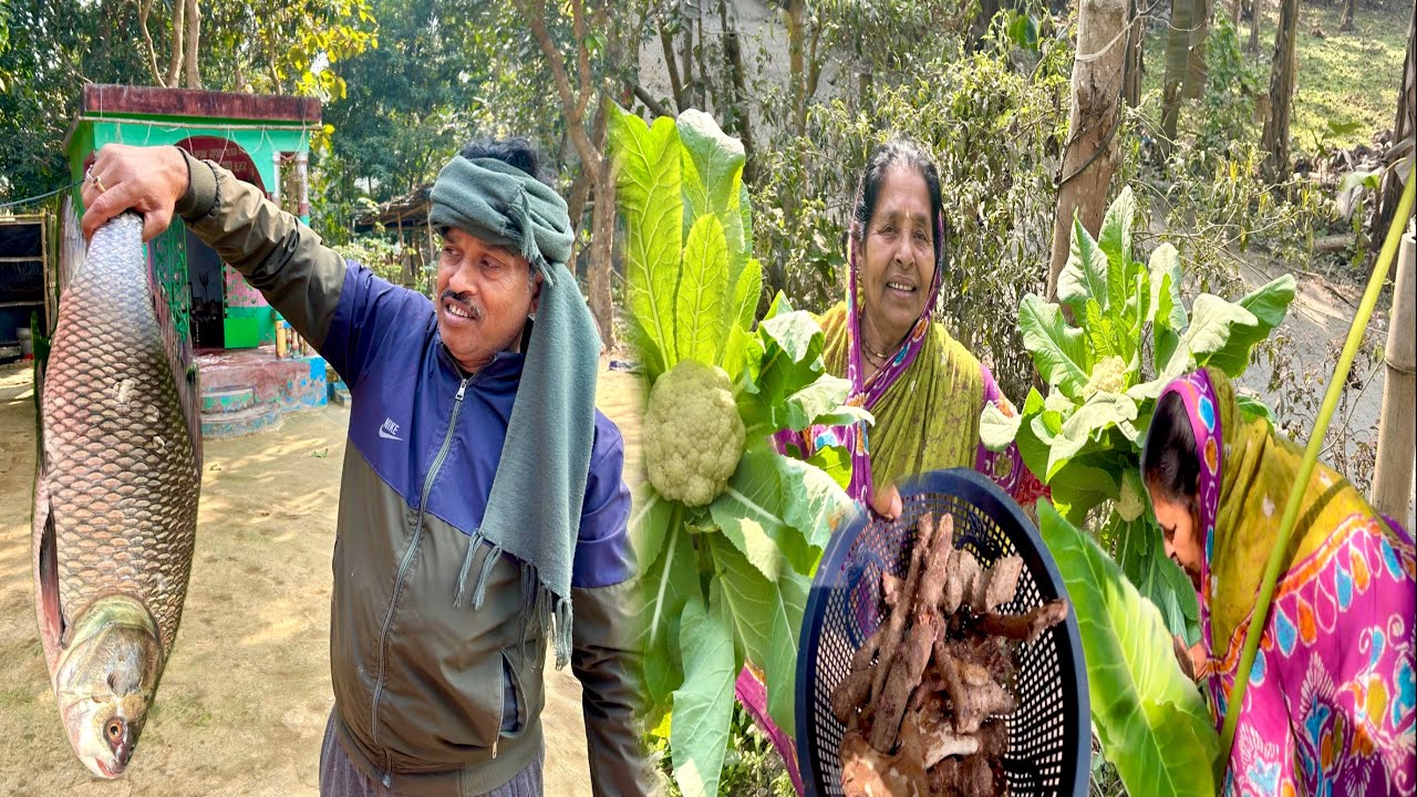 2.7kg ওজনের কাতলা মাছের সব থেকে সেরা দুধ কচুর লতি দিয়ে  খাটি বাঙালির খাবার আর ফুলকপির ঝোল||