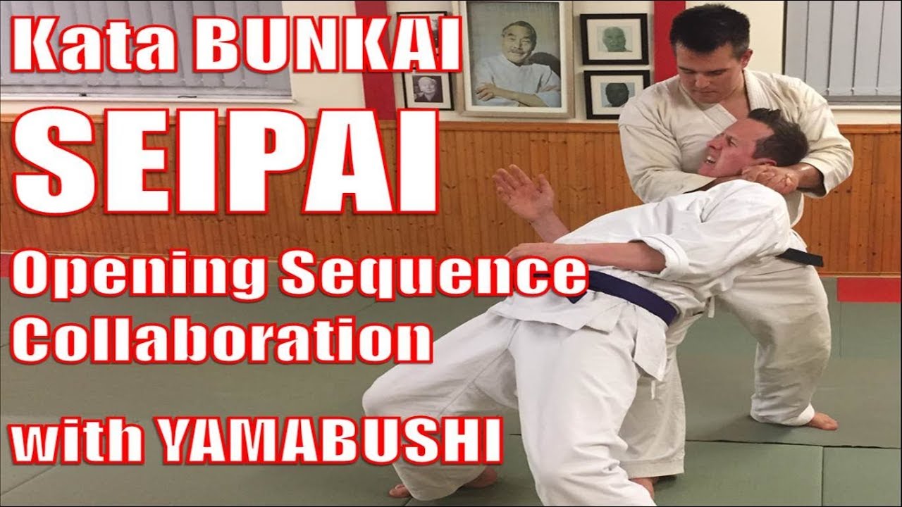 Kata SEIPAI - Opening sequence Bunkai - Collaboration with YAMABUSHI