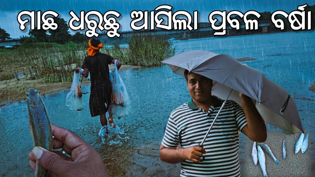 ଝଡ଼ ବର୍ଷାରେ ବାହାରିଲୁ ନଦୀ ମାଛ ଧରି l River Fishing