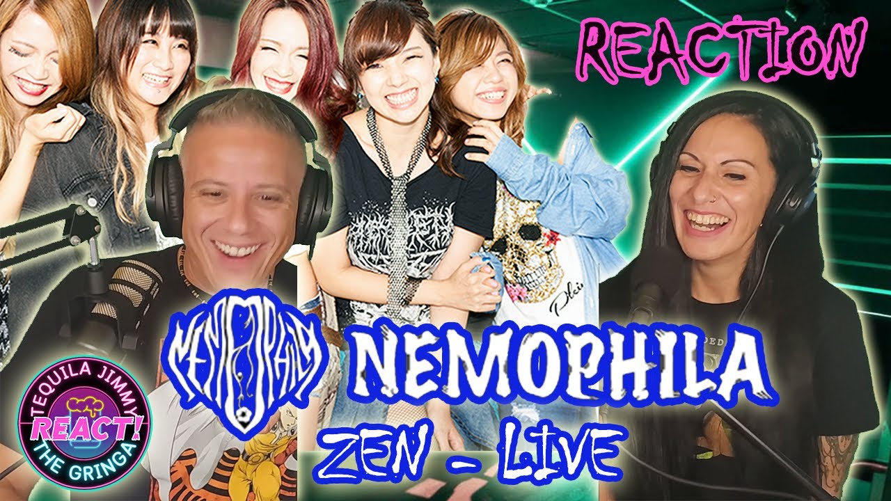 OUR KIND OF ZEN!! - NEMOPHILA - ZEN (OFFICIAL LIVE) REACTION