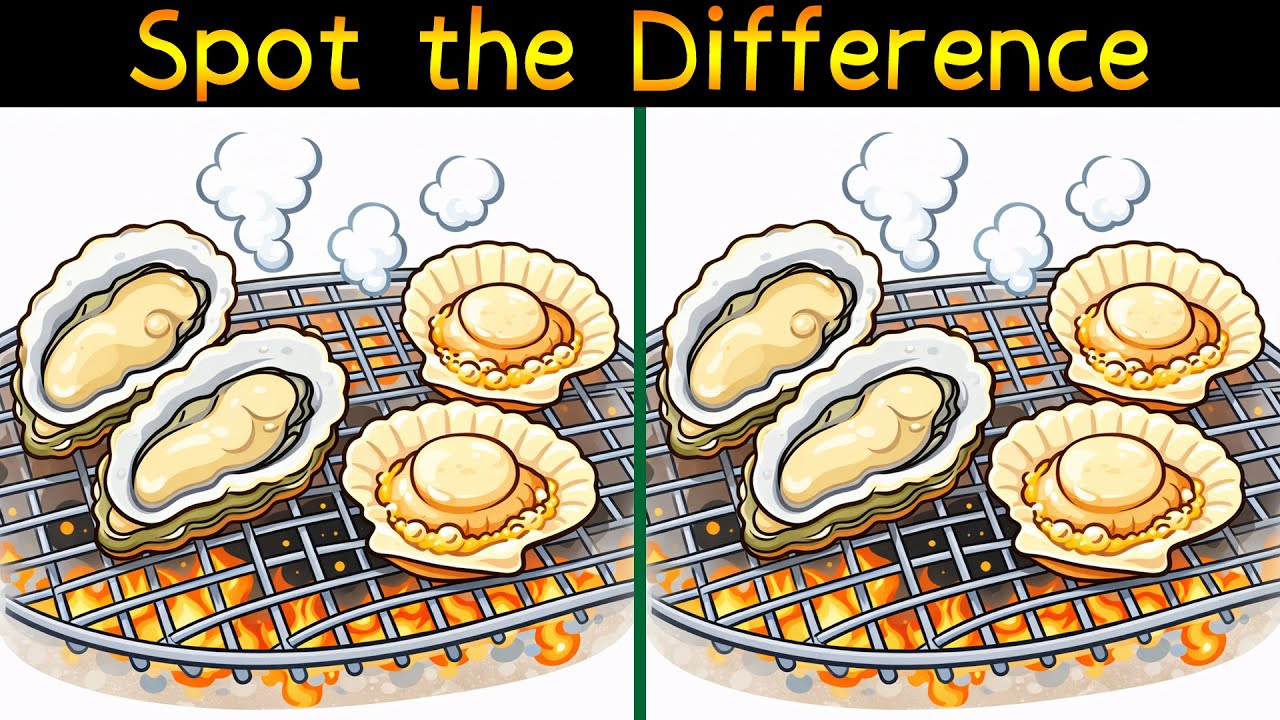 Spot the Difference with an Illustration of Oysters and Scallops