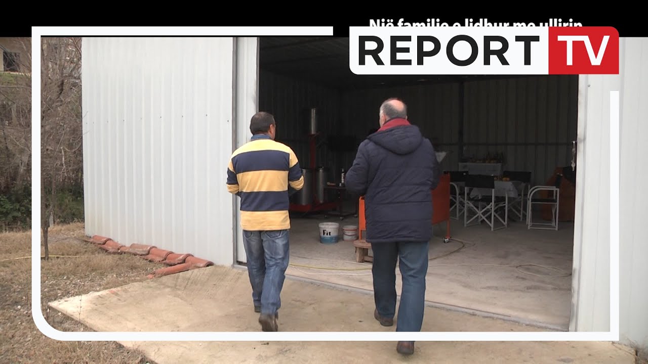 Report Tv, Veri Jug - Një familje e lidhur me ullirin