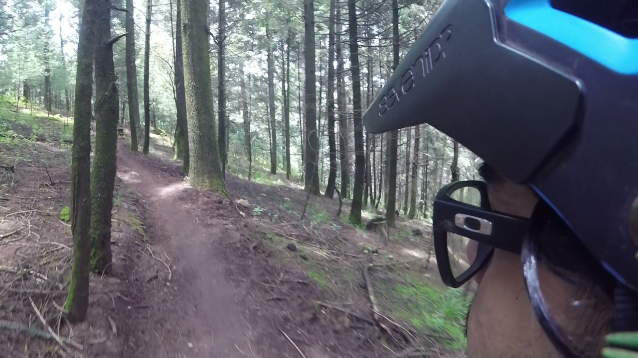 MTB Enduro | Baby Yoda-Mexico City | Nukeproof Mega 290