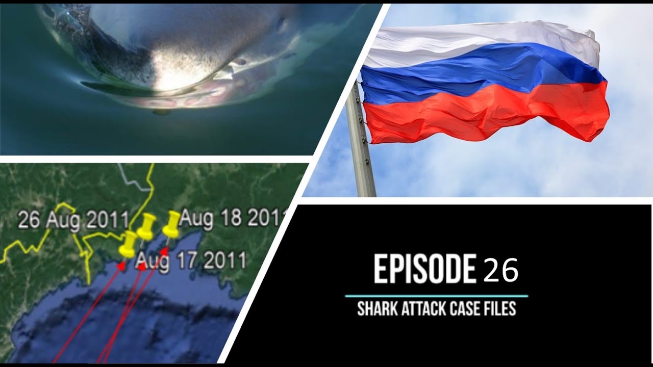 Episode 26 - Shark Attack Case Files - Great White Sharks in Russia?