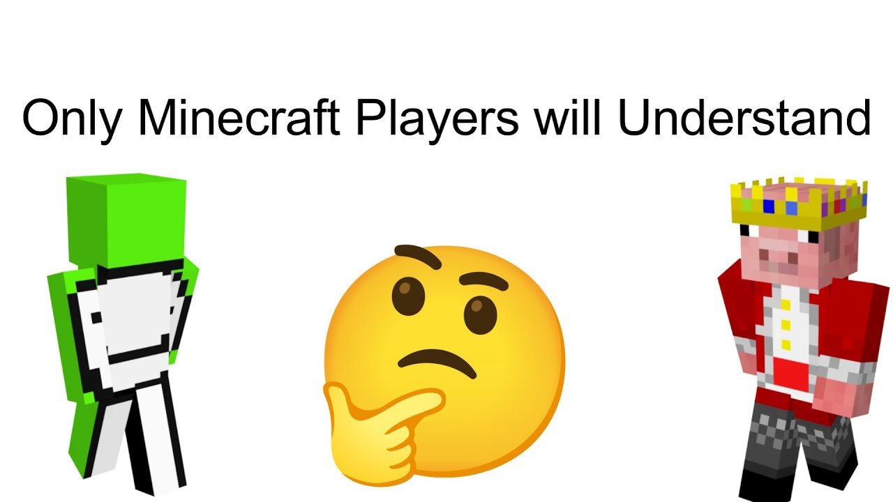 Only Minecraft Players can understand this Video