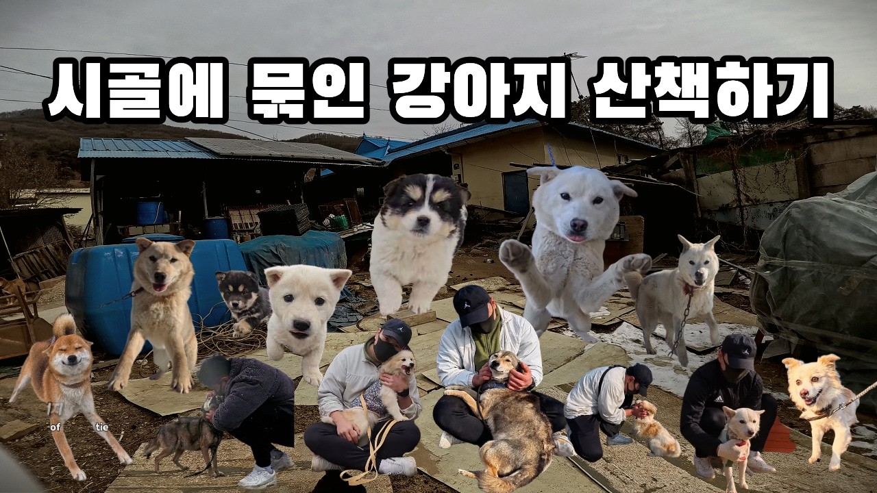 몰아보기
