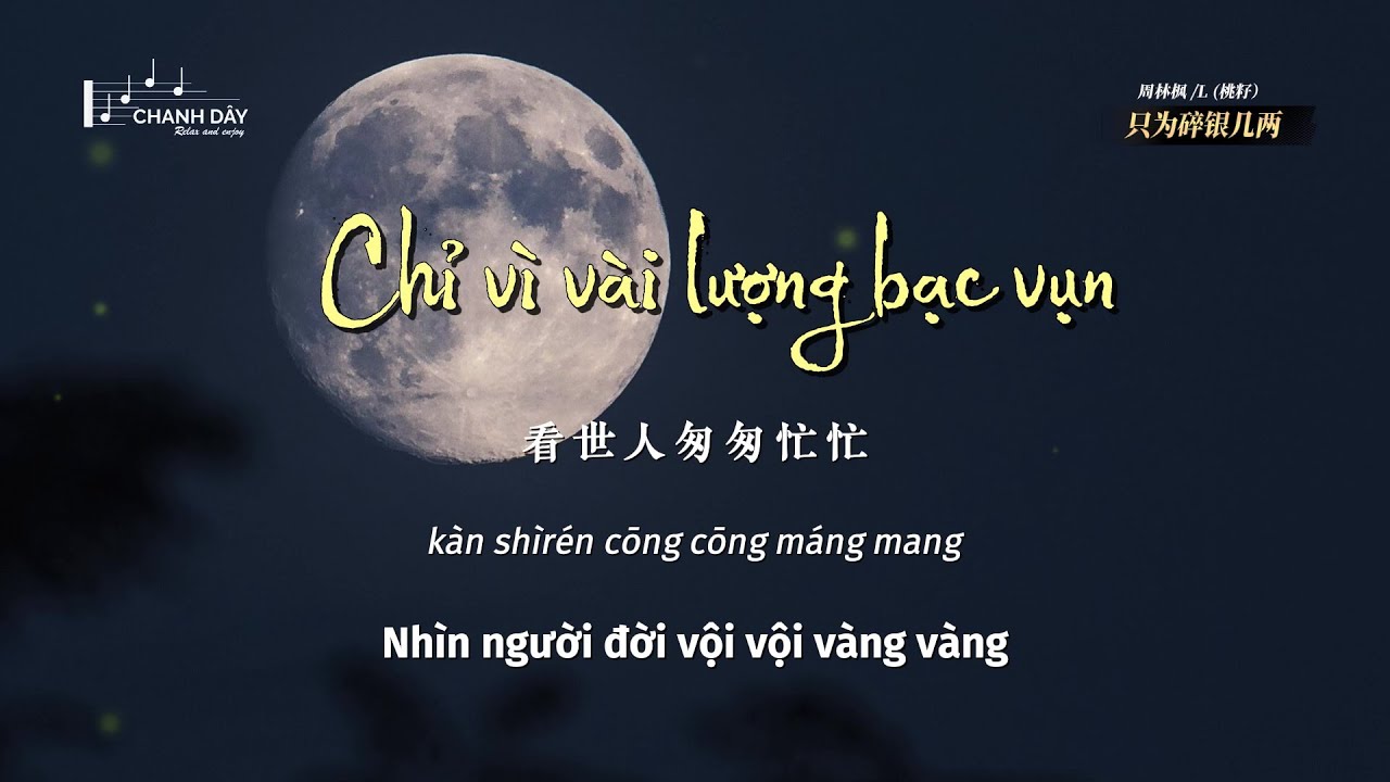 [Vietsub] Chỉ vì vài lượng bạc vụn (只为碎银几两) - Chu Lâm Phong & L (Đào Tử) (周林枫 /L (桃籽)) - Hot Douyin
