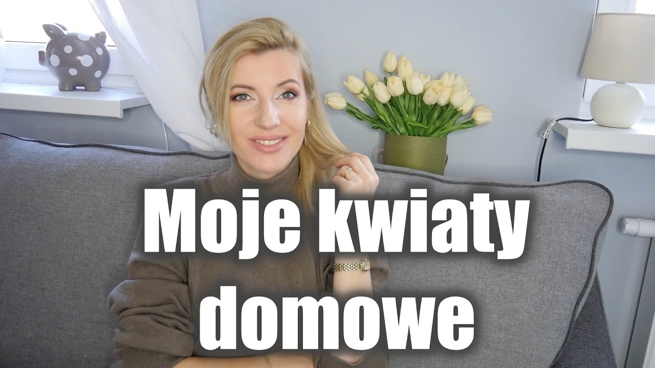 Moje kwiaty domowe│Kwiaty doniczkowe w moim domu│Semika