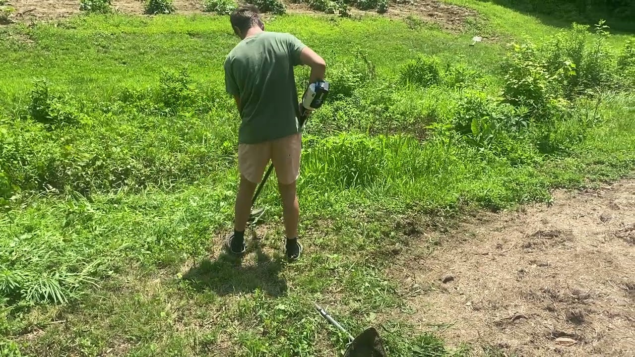 Hart 40V string trimmer 3 year review!Now with brush cutter!