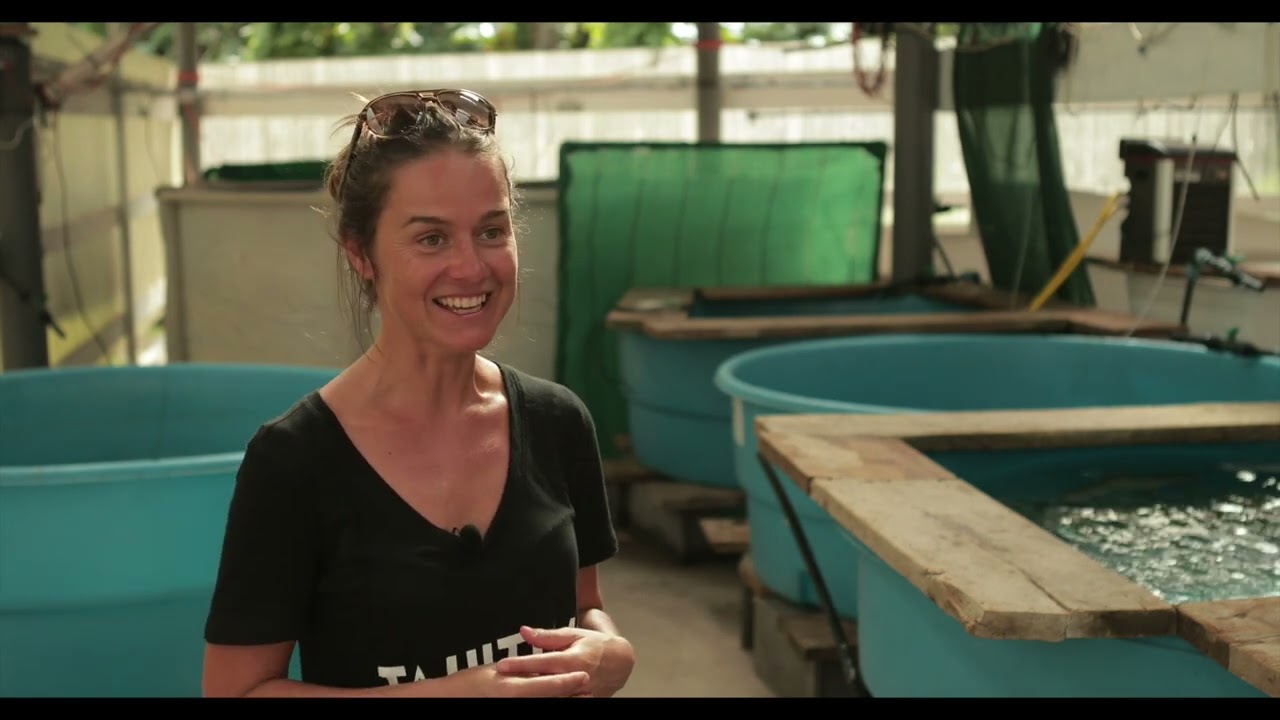 Physioshark project: Tahiti