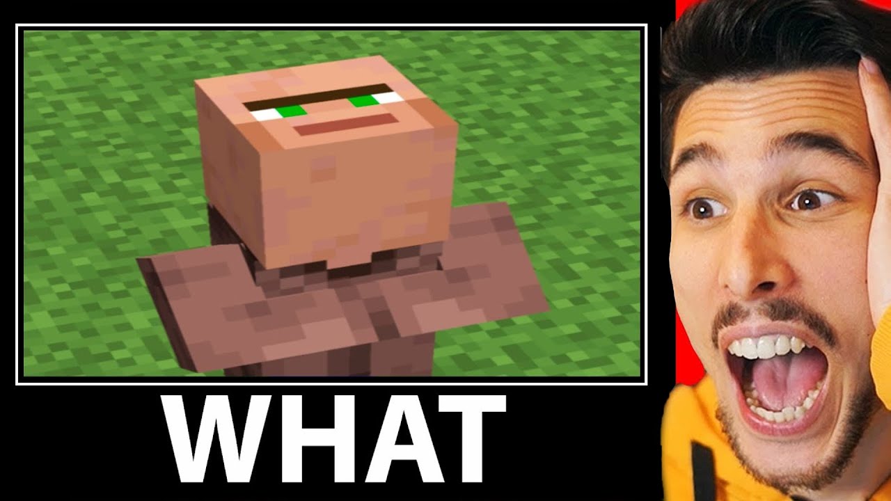 COSE che TI FARANNO DIRE IMPOSSIBILE su MINECRAFT (what meme 3)