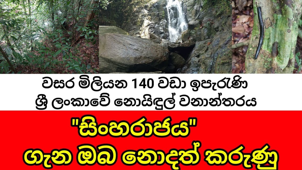 සිංහරාජ  රජදහන
