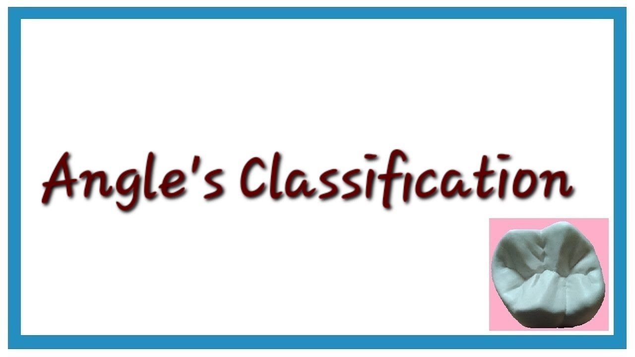 Angle's Classification of Malocclusion | Orthodontics | Dental Occlusion