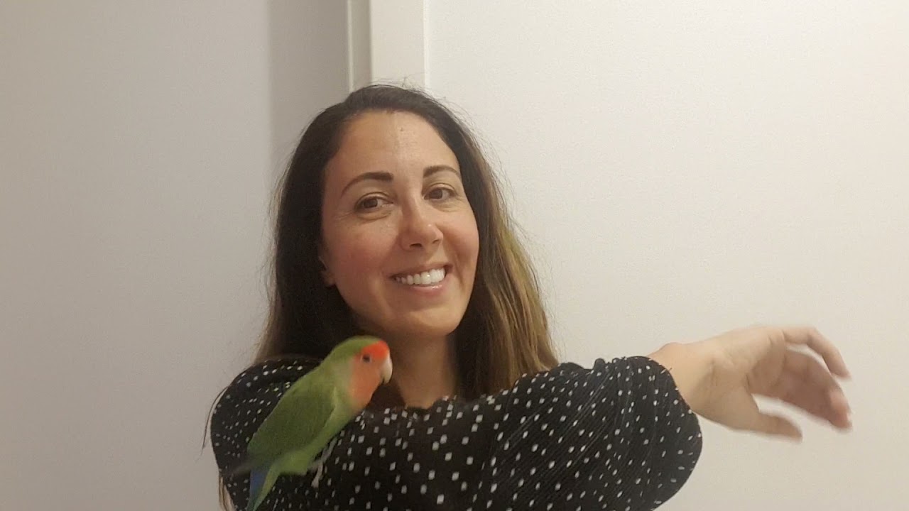 Ben B&ouml;yleyim Candan Er&ccedil;etin  #candanercetin #benb&ouml;yleyim #lovebird #sevdapapağanı #prensesbenimkizim