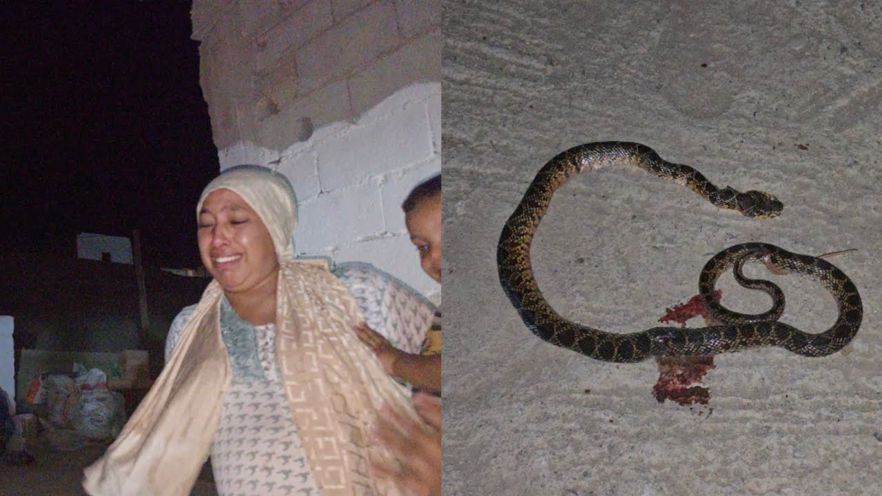 كارثة وقعات في نص ليل ولادنا😭 كانو ماتو كاملين هجم علينا حنش🐍 مريم🫄 تخلعت بزاف ليلة كحلة 😭😭