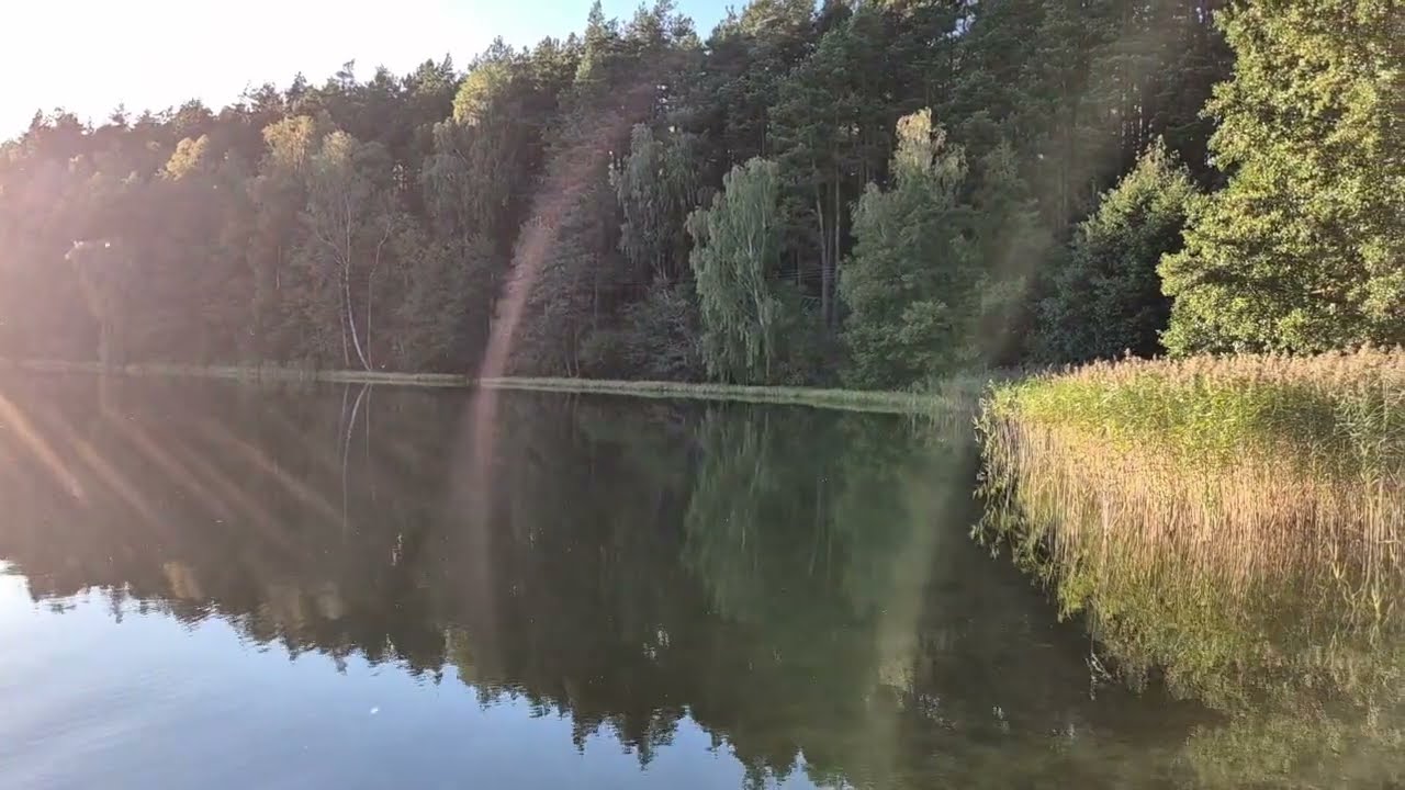 Muzyka relaksacyjna ze śpiewem ptaków 