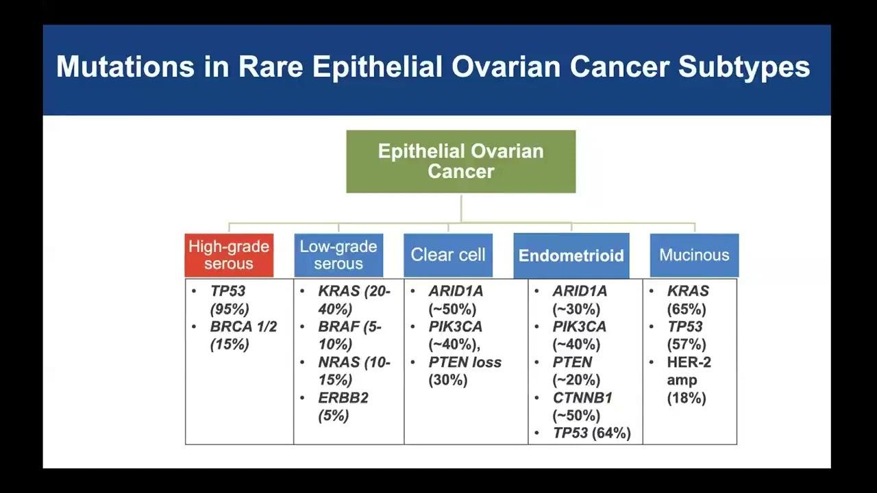 Rarer Ovarian Cancer Dr. Gershenson (Full Presentation)
