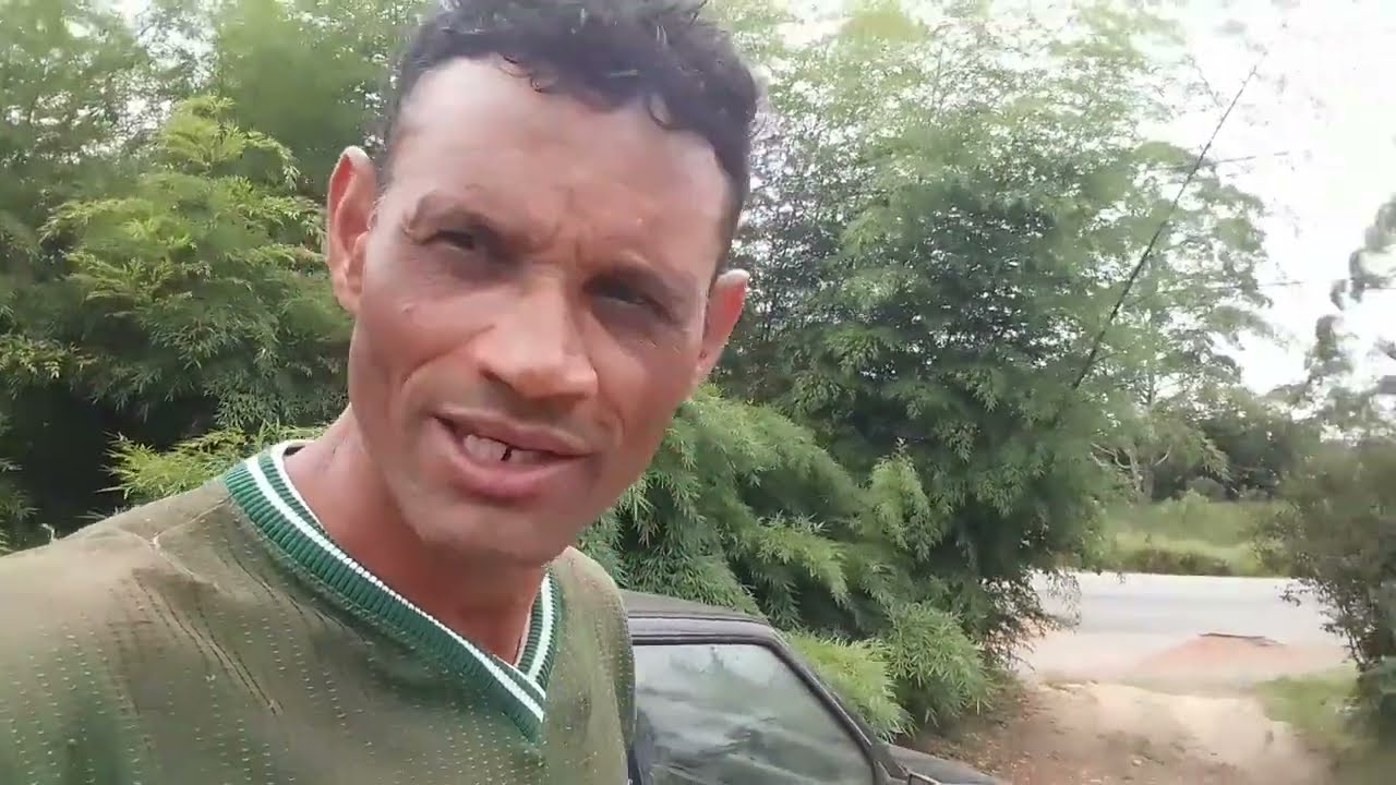 A rrancando o bambu mosso 