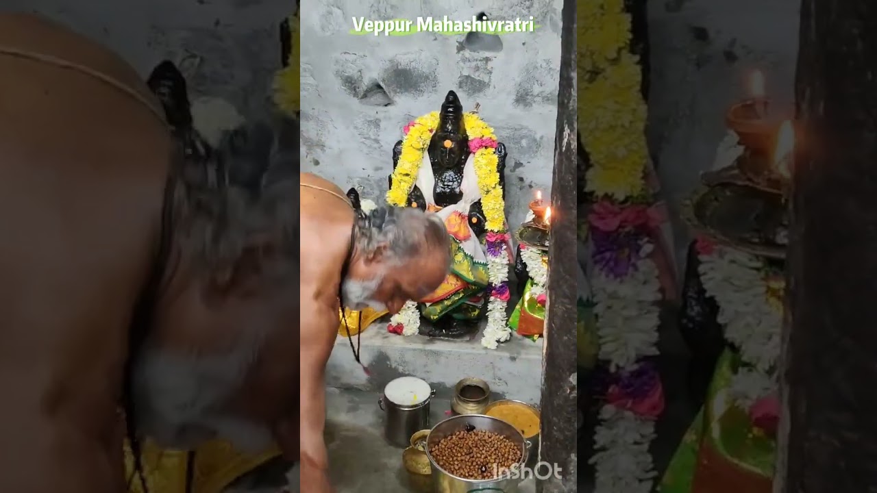 Mahashivratri Veppur vilneshwarKovil 