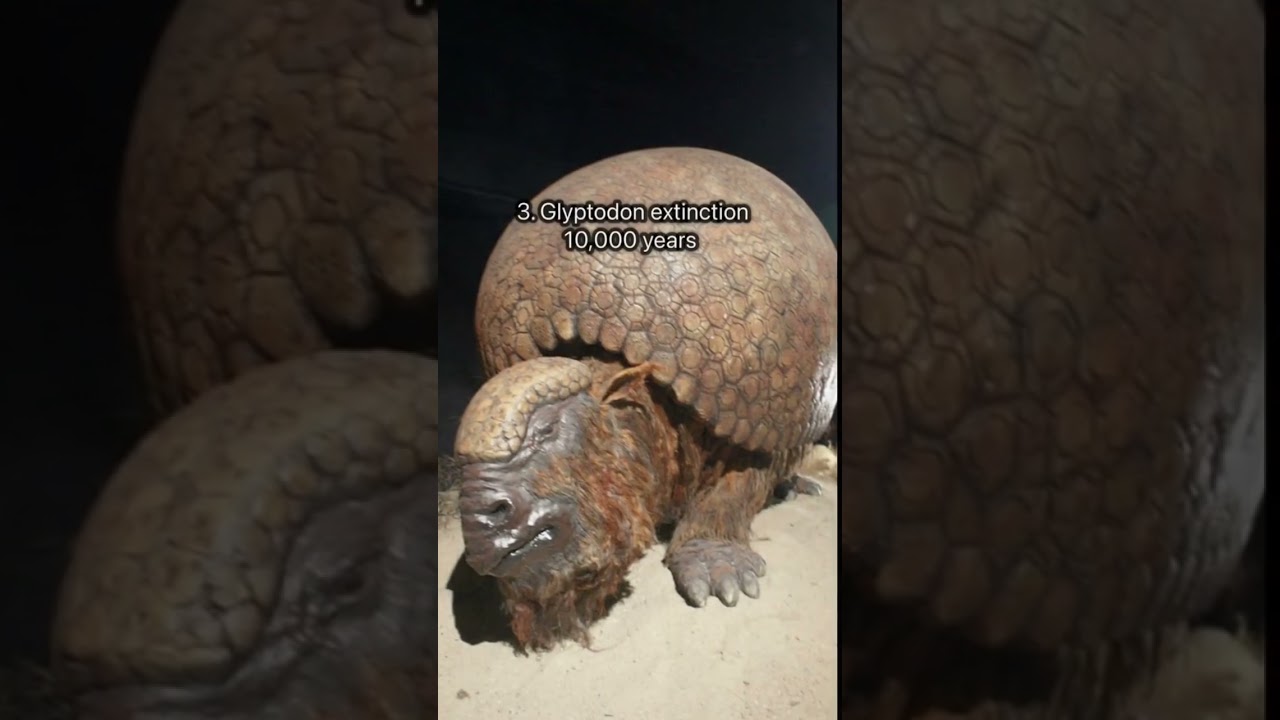 Top 5 Ice Age animals that went extinct 🧊🦣💔🕊️ #iceage #miahmooooo #animals