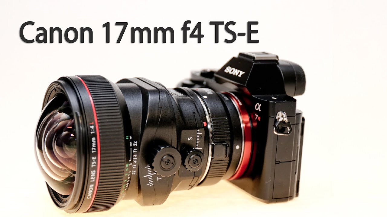 Canon 17mm f4 TS-E - full test