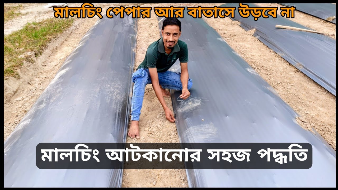 মালচিং আটকানোর সহজ উপায়। মালচিং পেপার বিছানো।