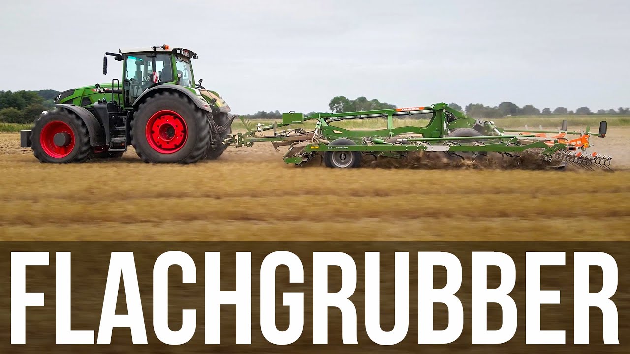 Flachgrubber im Praxiseinsatz - Amazone Cobra 6000-2TX