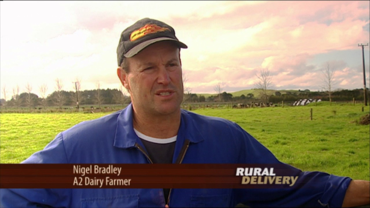 A2 Milk from Fresha Valley