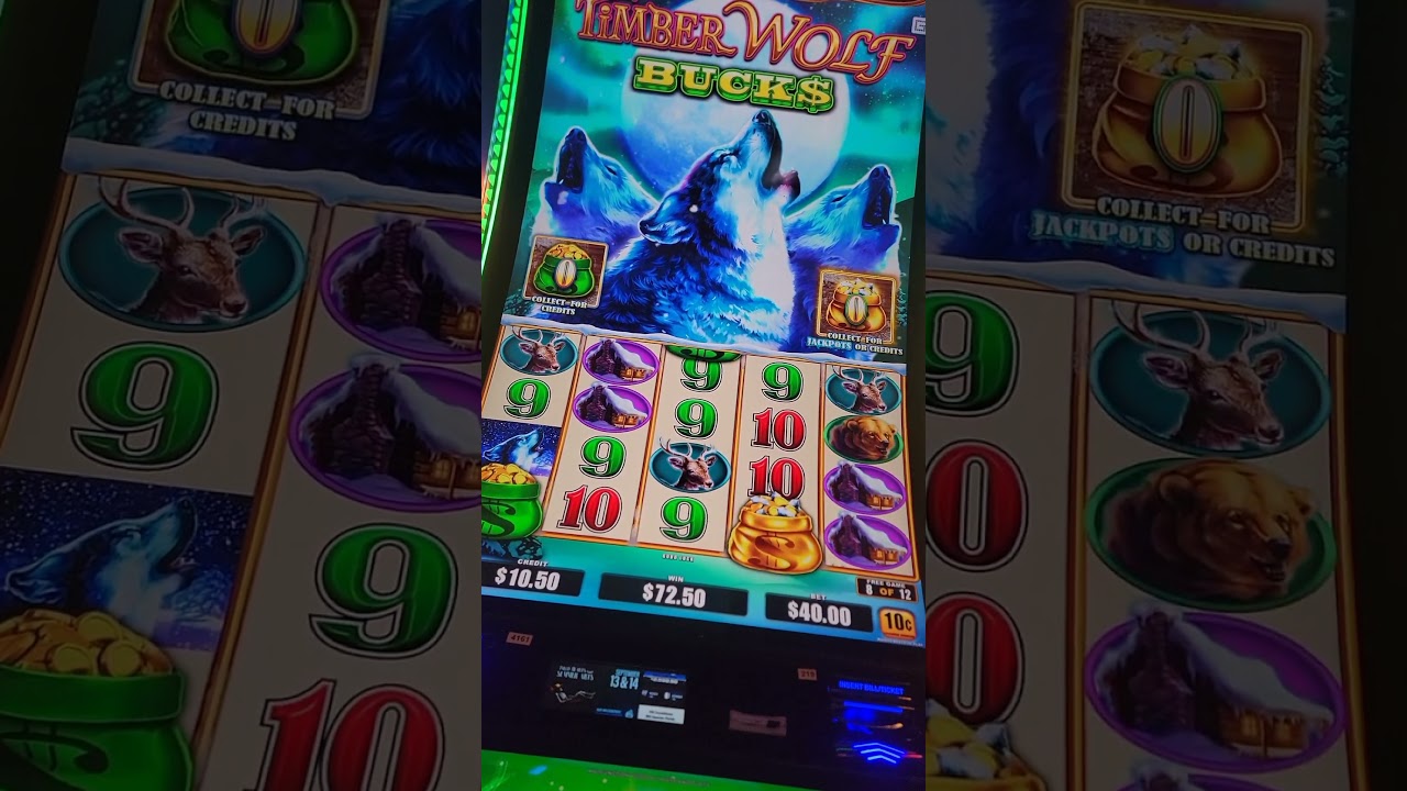 $40 Max Bet Bonus had me nervous #maxbet #lifeisbutadream #fyp #casino #slot