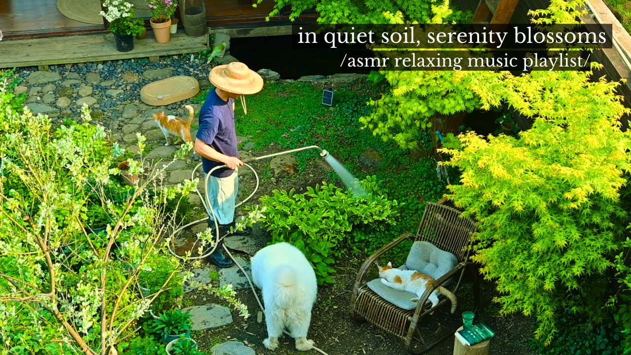 В тихой земле расцветает безмятежность - /ASMR плейлист расслабляющей музыки/