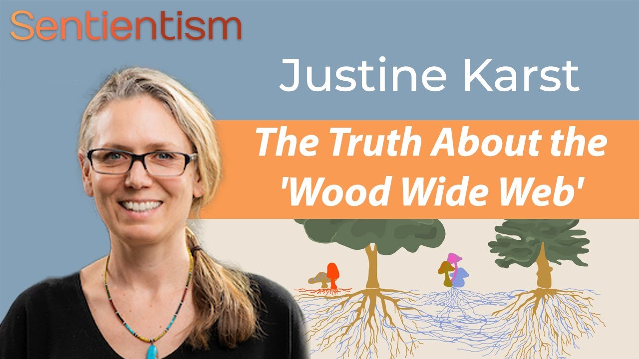 The Truth About the Wood Wide Web - Justine Karst - Sentientism 220