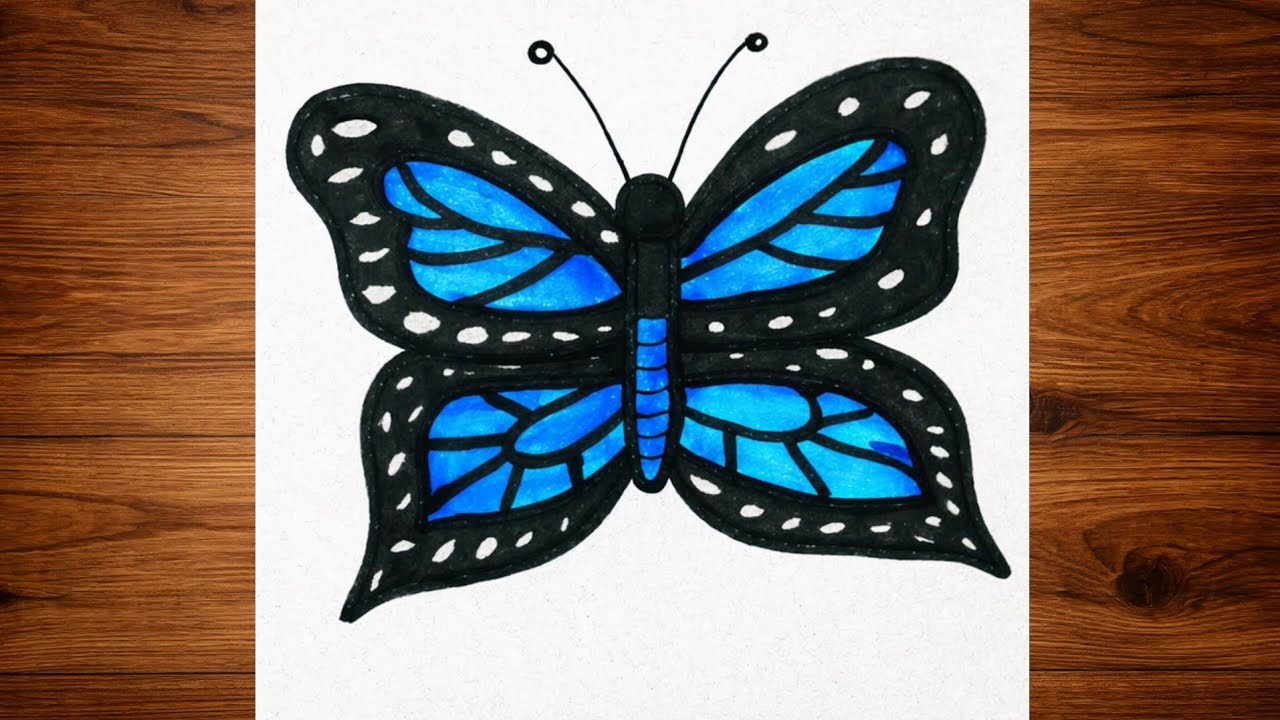 Beautiful Blue Butterfly Drawing Step by Step 🦋 | Easy Pencil & Color Drawing