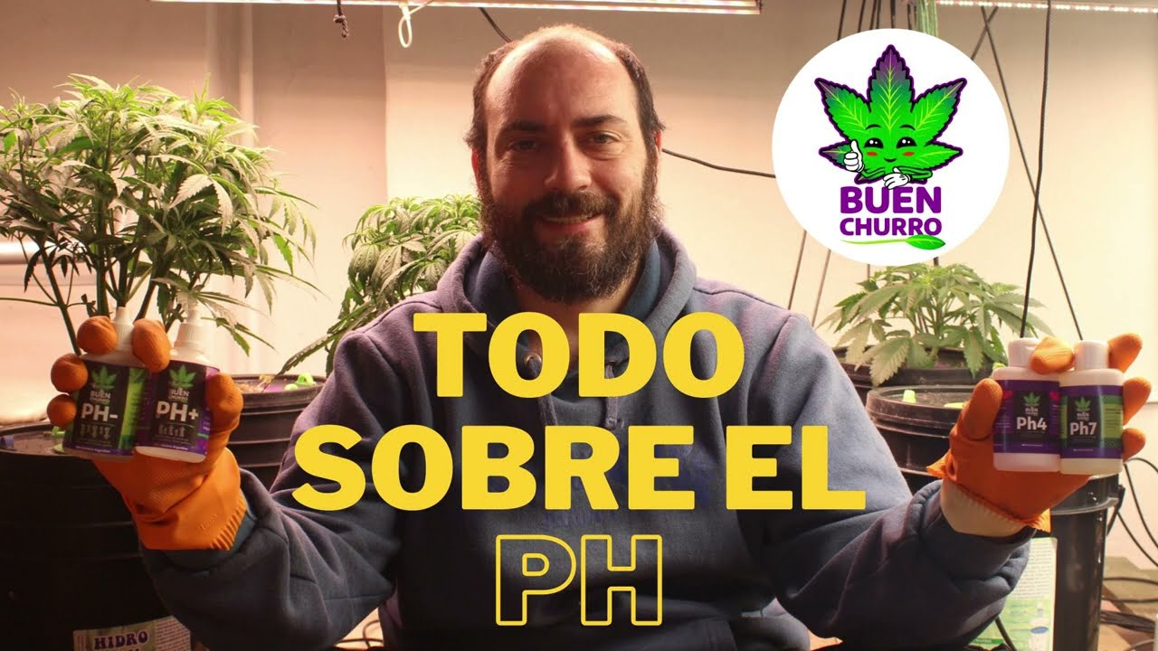 Ph y sus secretos en Sustrato e Hidropon&iacute;a con BuenChurro