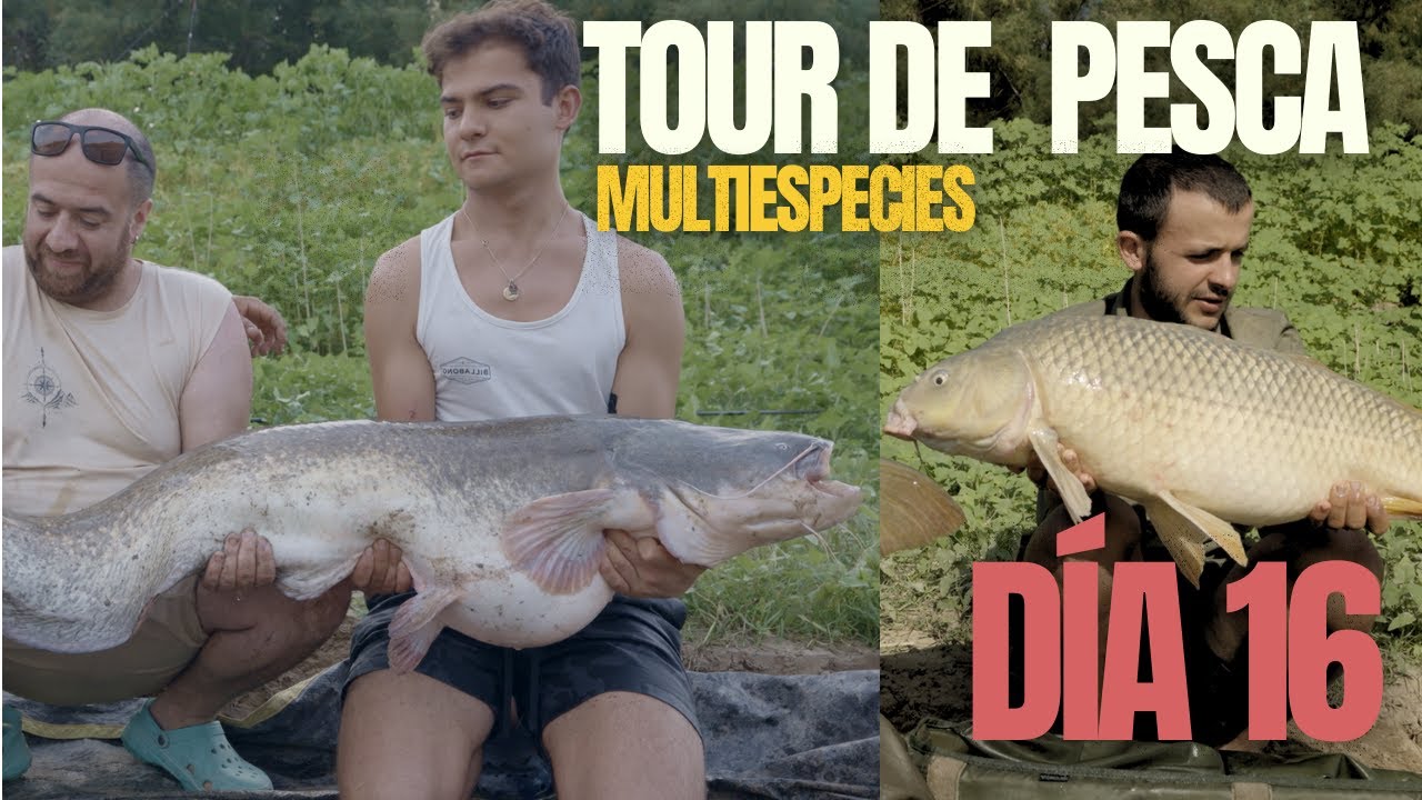 R&iacute;o Ebro | PESCANDO CARPAS y SILUROS - Tour de pesca EP. 16