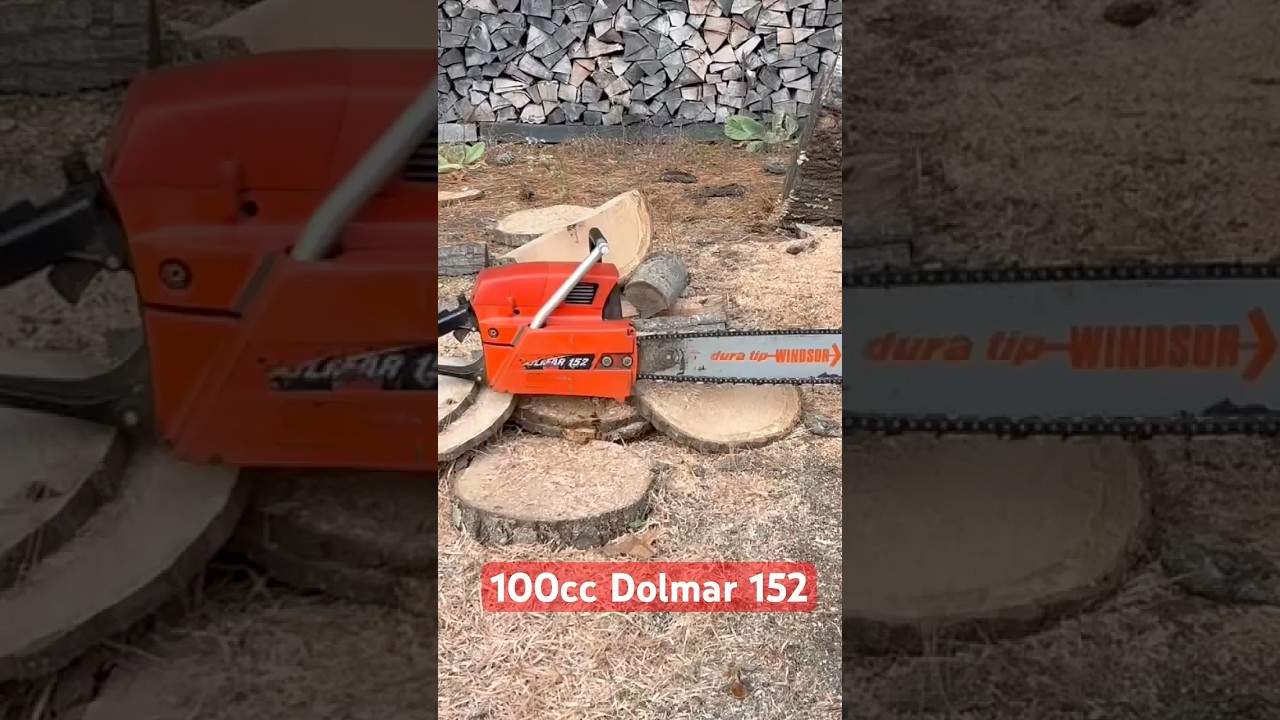 MONSTER 100cc Dolmar 152. This late 70s German saw was one of a kind! #dolmar #logging #chainsaw