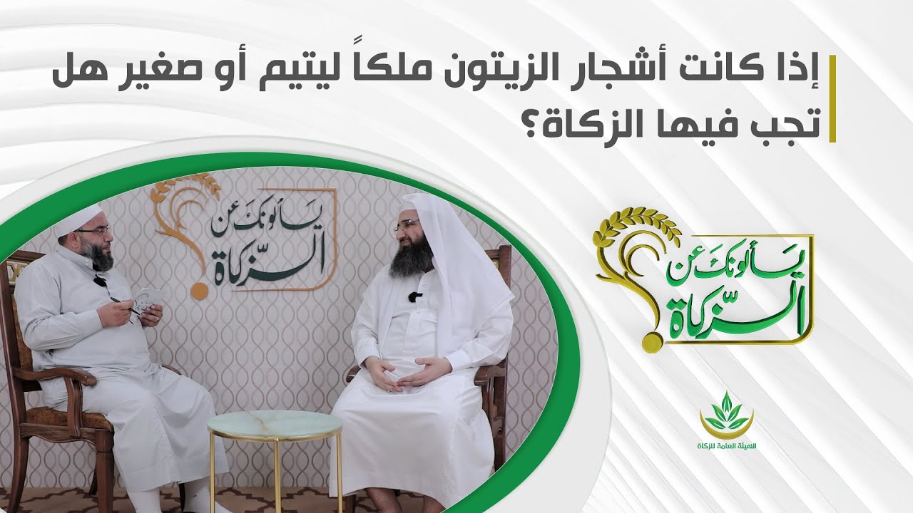 إذا كانت أشجار الزيتون ملكاً ليتيم أو صغير هل تجب فيها الزكاة؟