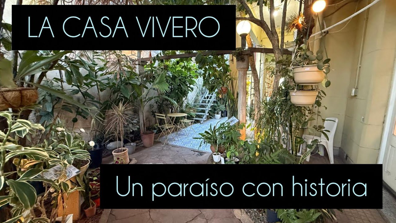 VIVERO.CULTIVO DE CAFÉ Y MÁS #lasplantasdegeral #cactusysuculentas #jardin #cafe #plantas #orquideas