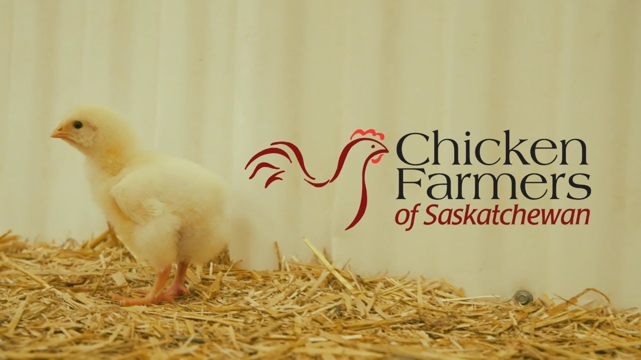 Chicken Farmers of Saskatchewan | Food Safety