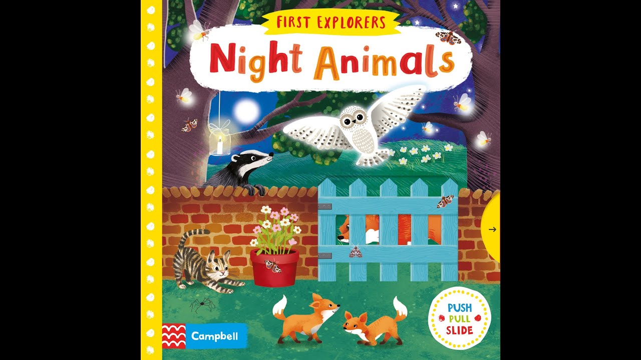 First Explorers: Night Animals - Storytime with Miss L
